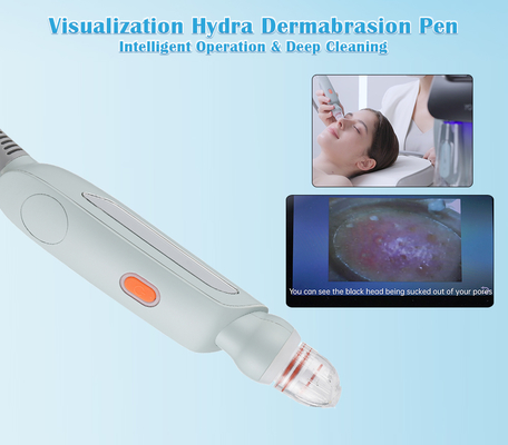 2024 Newest Visual Blackhead Removal Acne Removal Deep Facial Cleansing Skin Scrubber Hydra Beauty Machine