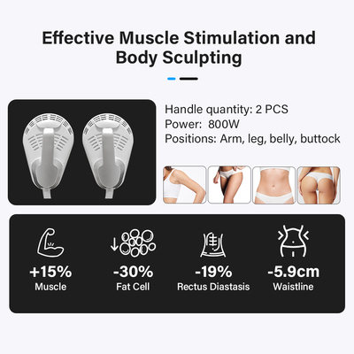 Portable 2 Handles Skin Firming Emssing Body-sculpting Machine