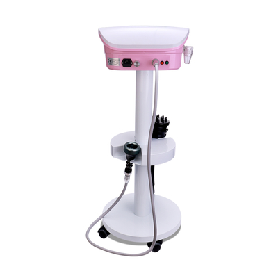 2024 2 in 1 pink G8 Vibration Body Massage Vacuum Heating Slimming Machine with Stand